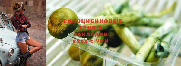 мдпв Лагань