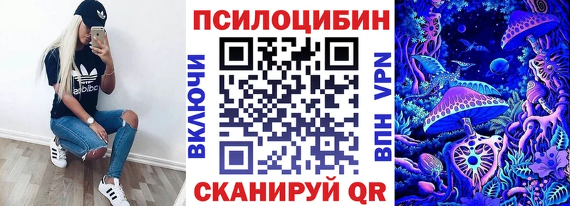 Галлюциногенные грибы мицелий  Тайга 