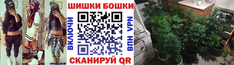 цены наркотик  OMG ССЫЛКА  Канабис ГИДРОПОН  Тайга 